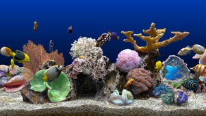 海洋水族馆
