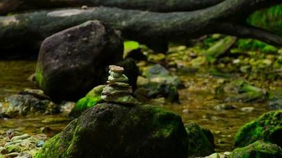 小溪流温柔的流水声