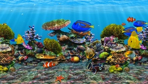 3d海底珊瑚鱼