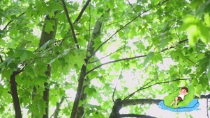 清爽夏日