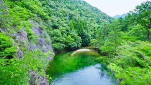 夏日青山绿水