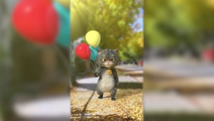 斑布猫-送气球