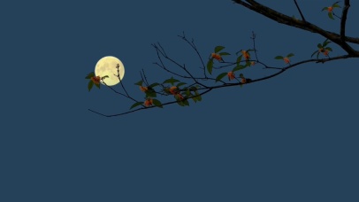 4K超清治愈系风景