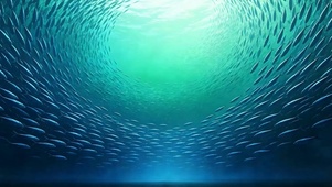 海底鱼群