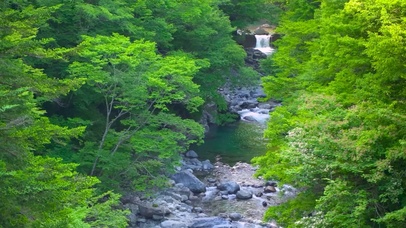 绿林山涧流水