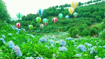 4K唯美草原热气球