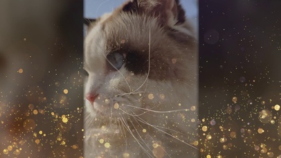 亚瑟点心-9屏亚瑟