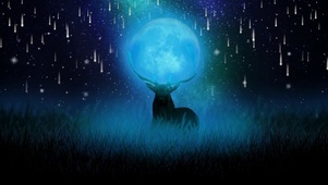 繁星满天见鹿神