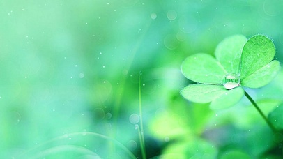 绿色治愈护眼壁纸