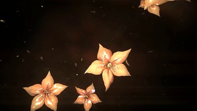 花儿
