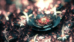 水月之花