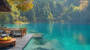 护眼树木河流带鱼屏
