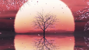 湖映日樱