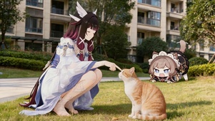 哥伦比娅逗猫
