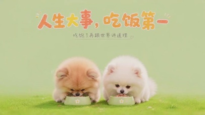 治愈系萌宠|人生大事，吃饭第一