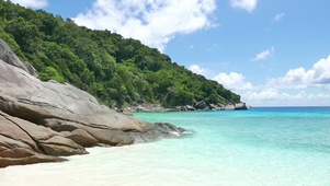 热带海滩景观