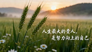 努力向上的自己