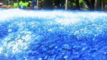 喜欢花，喜欢你~