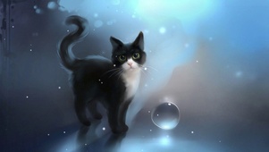 唯美小猫