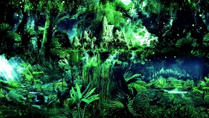 治愈梦幻树林