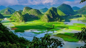 稻田远景