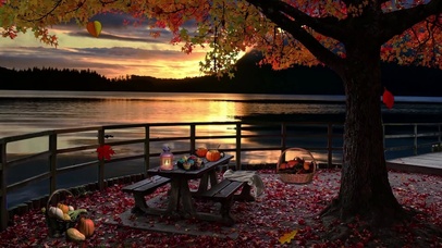 舒适秋季湖泊氛围