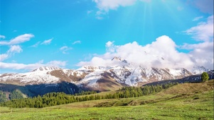 贡嘎雪山草地