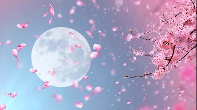 4K原画 唯美治愈【桃花结】