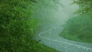 4K唯美风景
