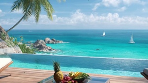 海景树木带鱼屏