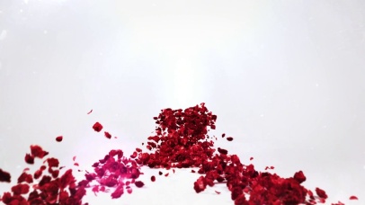 红色玫瑰抛洒玫瑰花瓣浪漫