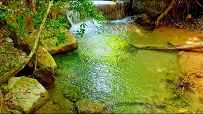 治愈山间小溪流水4K