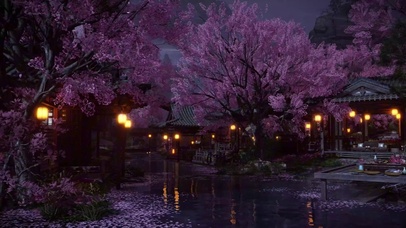 夜晚的樱花风景