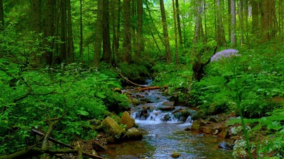 清新护眼山间小溪