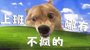 上班哪有不疯的