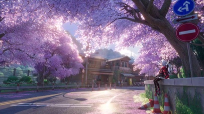 樱花街道