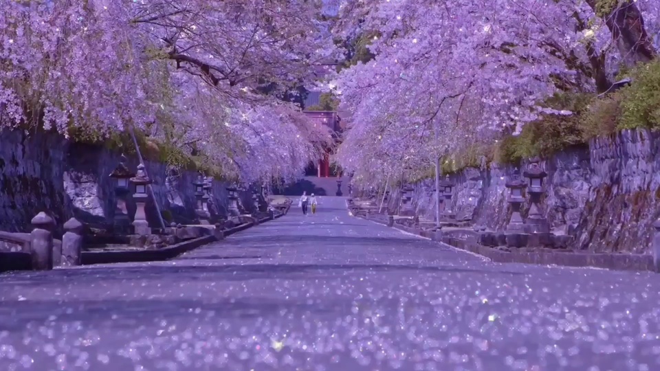 紫调花簇垂覆的石砌步道，两侧排列日式石灯笼，地面散落带闪光的花影。