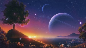 星空树下