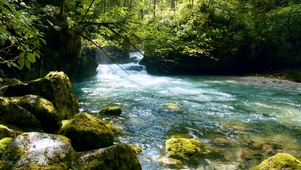 山涧河流