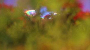 等你一起奔赴星辰