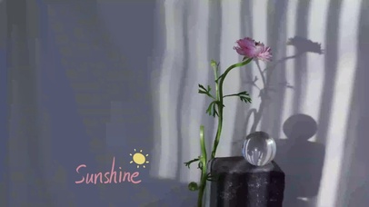 阳光护眼艺术花朵