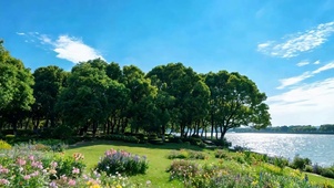 白云花草树木海景