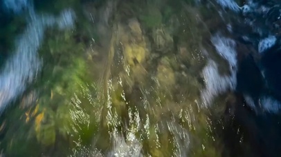 纯净的海水，贝壳的夏天