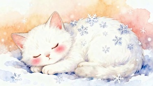 睡着猫咪