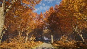 秋天小路