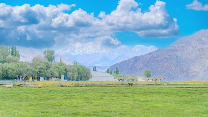 美丽草原我的家