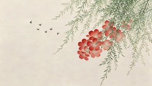 小清新鲜花