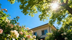 唯美院子的一角