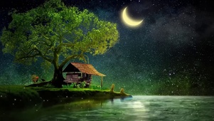 寂静的夜