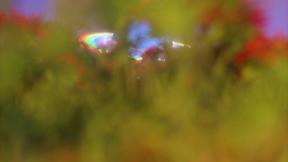 等你一起奔赴星辰